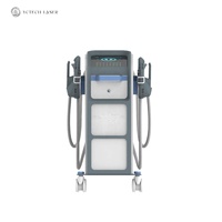Appareil de remodelage corporel et de perte de poids 4 poignées EMS Zero NEO EMT 5600W avec certification CE OEM