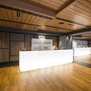 Pin powered không gấp xách tay chiếu sáng dẫn thanh đồ nội thất, ánh sáng lên dẫn quầy <span class=keywords><strong>bar</strong></span> - Product Image 5