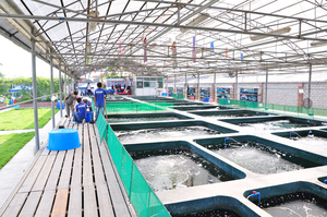 Écumeur d'eau de mer avec pompe Écumeur de protéines Écumeur de protéines Système d'aquaculture à recirculation - Product Image 6