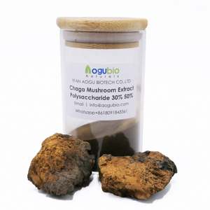 منتج جديد رائج عضوي معدل كسر القشرة عشبي جانوديرما جراثيم خلاصة مسحوق 80-200mesh 24 شهرًا - Product Image 3