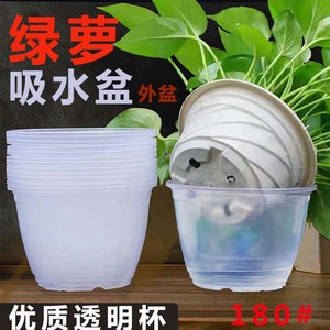 Maceta para Pothos con Absorción Automática de Agua, Maceta Transparente con Autorriego para Plantas Verdes de Escritorio - Product Image 4
