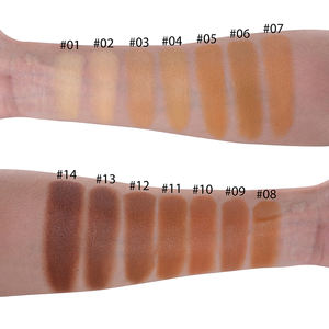 F4A <span class=keywords><strong>Fond</strong></span> <span class=keywords><strong>de</strong></span> <span class=keywords><strong>teint</strong></span> à couverture complète <span class=keywords><strong>Lot</strong></span> <span class=keywords><strong>de</strong></span> maquillage Vegan Waterproof Long Lasting Cream Concealer Palette - Product Image 4