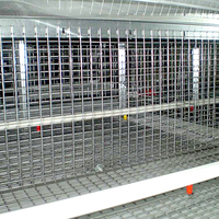 Ferme de poulets à prix d'usine cage de couche automatique ferme de volaille cage de treillis métallique en fer soudé treillis métallique en acier galvanisé compétitif