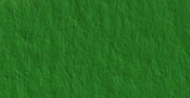 S23 ultra vert