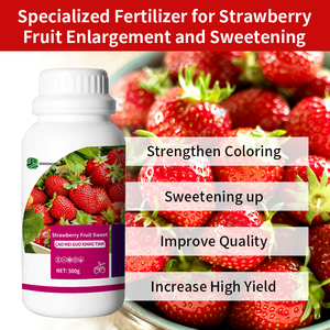 <span class=keywords><strong>Engrais</strong></span> Spécialisé <span class=keywords><strong>pour</strong></span> l'Augmentation et l'Édulcoration des Fruits de Fraises, <span class=keywords><strong>Engrais</strong></span> Organique <span class=keywords><strong>pour</strong></span> Fraises - Product Image 4