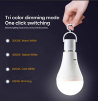 Ampoule d'urgence rechargeable et dimmable Everstar A67 E27 avec interrupteur tactile et télécommande – Offre spéciale pour entrepôts – Lumière LED SMD