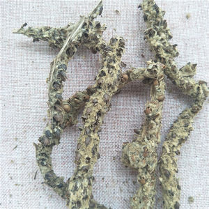 100%天然牛蒡草药粉/片，新鲜干燥，价格优惠 - Product Image 4