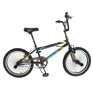 BMX自行车 (FP-FS22002)