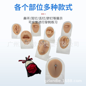 Molde de silicona para practicar características faciales del cuerpo humano para principiantes, para aprender sobre orejas, nariz, ojos, cejas, lengua, labios y ombligo. - Product Image 2
