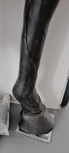 Modèle de jambe de cheval, avant et arrière - Product Image 2