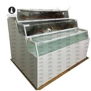 Wholesale live fish holding container To Store Your Fishing Gear