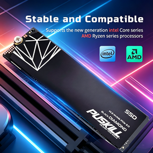 PUSKILL Black Diamond M.2 NVMe PCIe 3.0 SSD 1TB Disque SSD interne pour PC de bureau et de jeu - Product Image 5
