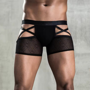 Ropa interior masculina de moda al por mayor: Calzoncillos bóxer de encaje transparentes, calzoncillos de malla, calzoncillos de talle bajo con transparencias y diseño hueco, estilo sexy y atractivo para hombres gay. - Product Image 3