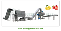 Complete fruit sap productielijn voor mini-passievrucht, cactusvijg, gember, citroen en appel sap, te koop.