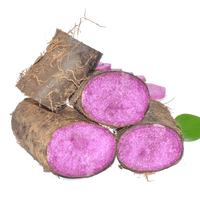 Poudre d'igname violette (Ube) brute - Qualité alimentaire, certifiée Halal, emballage en fût, amidon naturel et ingrédient alimentaire fonctionnel, extrait végétal
