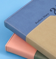 Agenda 2027 - Version anglaise - Gestion interne du plan de pages - Carnet de notes quotidien de 365 jours avec une page par jour