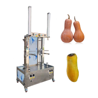 Machine d'épluchage d'éplucheur de peau de citrouille de pastèque de papaye d'automation élevée