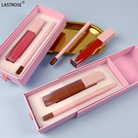 Prix d'usine Kit de brillant à lèvres et de crayon à lèvres végétaliens Brillant à lèvres de marque privée Kit de rouge à lèvres liquide mat
