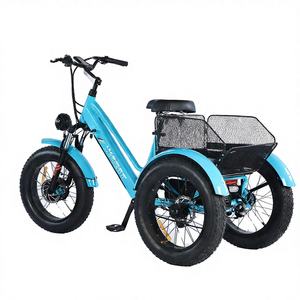 Electric <b>Tricycle</b> 3 Wheels Rear Hub Motor Steel Frame Brushless Motor Lithium Battery - Product Image 3
