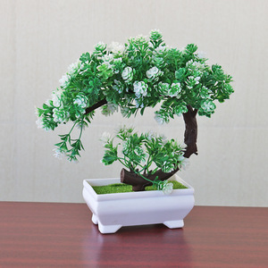 Trang Trí Nội Thất Cây Nhỏ Pachira Macrocarpa Hoa Nhân Tạo Đặt Bàn Hoa Trang Trí Hoa Giả Và Cây Xanh Bonsai - Product Image 6