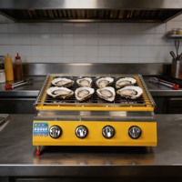 Pemanggang Oyster Tanpa Asap dengan Kontrol Suhu Berzona Gas, Tekanan Tinggi 2800Pa, Baja Tahan Karat, untuk Restoran BBQ Komersial