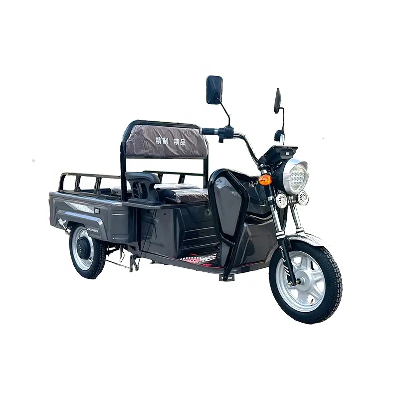Chine Motos à trois roues Tricycle de transporteur de personnes Tricycle électrique Tricycle de cargaison