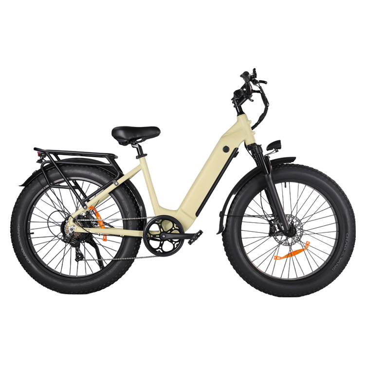 Cheap Bicycle Vietnam Quality Electric Bikes for All