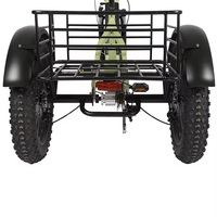 MXUS-Tricycle électrique pliable pour adulte, gros vélo de mobilité électrique à 3 roues avec moteur de 500W