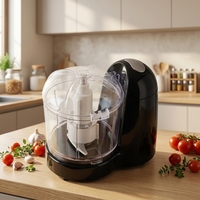 Hachoir alimentaire portable 2-en-1 120W CH-1101N Mini robot culinaire électrique USB-C en plastique pour la découpe de viande à domicile