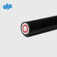 10mm2 aislamiento de PVC de fase única concéntricos Cable de aluminio con dos núcleo de cobre Cable de comunicación