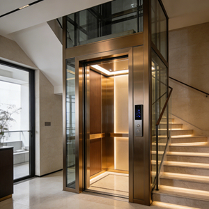 מעלית ביתית הידראולית מודרנית לוילה קטנה ודירה עם רצפת PVC וחסכון באנרגיה ופעולה שקטה - Product Image 3