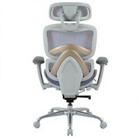 Chaise de bureau ergonomique Henglin en maille avec appui-tête 2D, accoudoirs 3D, vérin à gaz à 4 niveaux et roulettes silencieuses