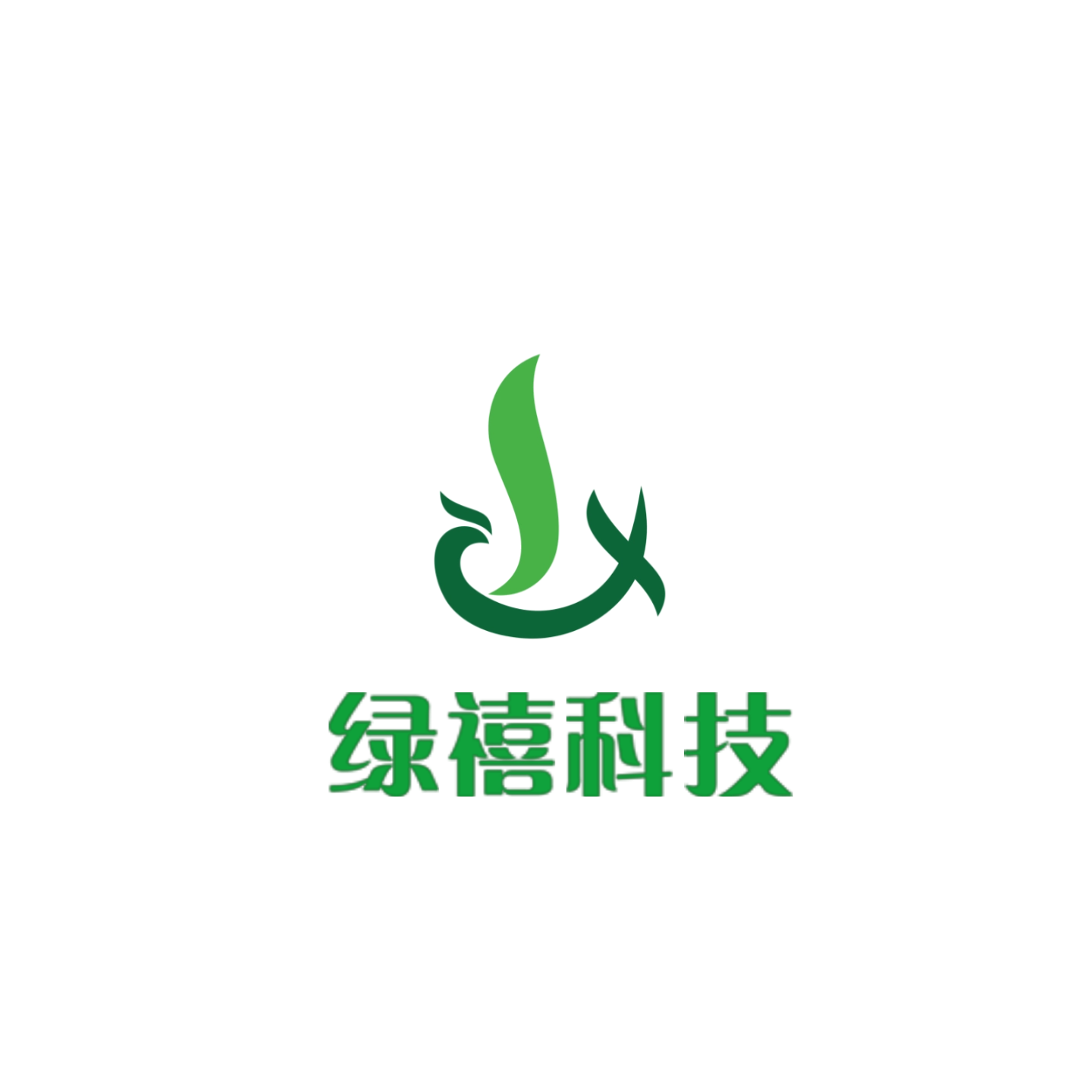 Guangzhou Lvxi Technology Co., Ltd.