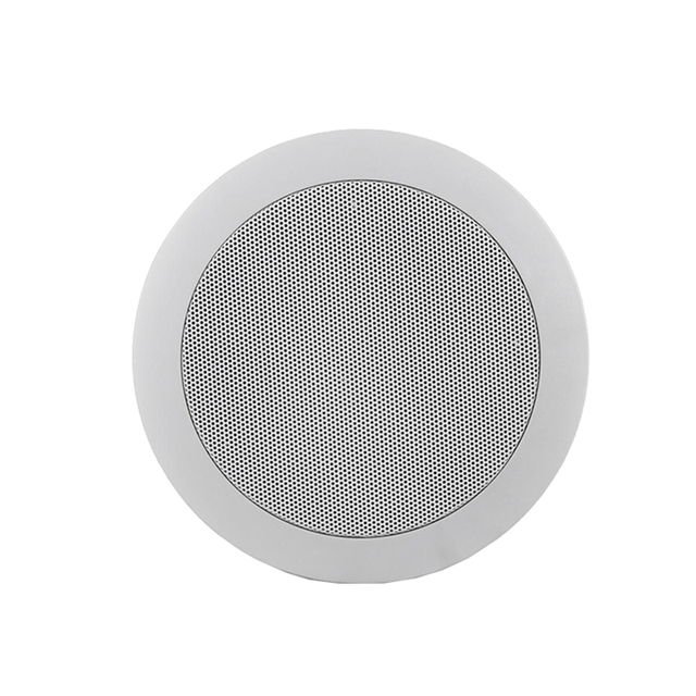 SIP Intercom Speaker / IP Speaker