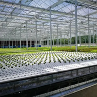 Plateaux de radeau flottants hydroponiques feuille de panneau de mousse EPP pour l'agriculture plantation de légumes en serre