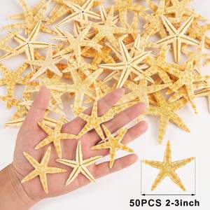 50 adet 2-3 inç doğal sarı deniz yıldızı büyük denizyıldızı DIY el sanatları için düğün plaj dekoru - Product Image 1