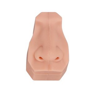 Medical Education Manikin PVC <strong>Nasal</strong> Cavity Training Model for Medical School Dental Teaching <strong>Skeleton</strong> Model for Medical Science - Product Image 2