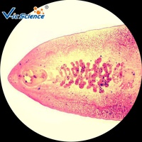 Microscope Prepared Slides Parasitology Set of 10 Pcs