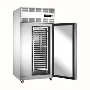 Factory Price Ultra Low -45 Freezer Commercial 20 Trays Small Cryogenic Frozen Shrimp Chicken Blast Freezer Shock Chiller