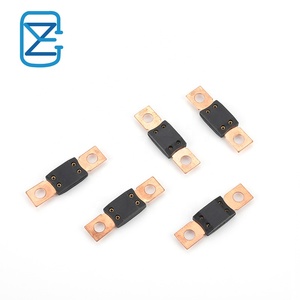 Auto automotriz coche plano ANF ANG fusible bajo tipo atornillado disponible varios amperios 30A 40A 50A 60A 80A 100A 110A 120A 150A 175A - Product Image 6