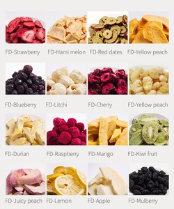 Poudre <span class=keywords><strong>de</strong></span> fruits lyophilisés naturels purs : carotte, tomate, framboise, citron, <span class=keywords><strong>canneberge</strong></span>, myrtille, fraise, mangue - Product Image 5