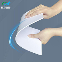 Panneau en mousse PVC au prix d'usine 4*8 pieds - Feuille Forex imperméable pour application hôtelière et en appartement