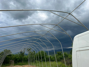 Serres solaires toutes saisons avec double paroi et couverture isolante pour la culture des légumes - Product Image 6