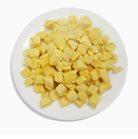 Mangga Kering Beku Bentuk Dadu Alami Manis Buah Mangga Kering Kubus Grosir Kemasan Kustom untuk Kue dan Minuman