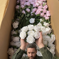 Fabrik-Großhandel Künstliche Einzelne Samt-Rosen Blume Rot Weiß Blau Rosa Schwarz Lila Maßgefertigte Dekorative Rosen