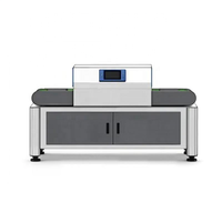 Nettoyeur UV à ozone pour convoyeur, éliminateur de contaminants organiques, machine de traitement de surface UV à ozone de type transport automatique