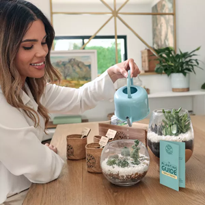 Kit per la coltivazione di piante da interno in miniatura per regali donna <span class=keywords><strong>Cactus</strong></span> da giardino e succulento - Product Image 6