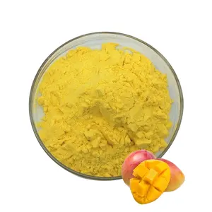 Polvo de fruta de mango secado en aerosol natural orgánico Polvo de mango Polvo de jugo de mango