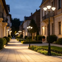 Lámpara Solar LED para Jardín, Personalizada de Fábrica, IP65 Impermeable, Batería de Litio, Temperatura de Color 3000K-6500K, Lámpara de Poste para Exteriores de Aluminio