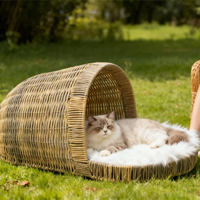 Maison pour animaux de compagnie en paille naturelle faite à la main, durable et confortable, pour amis à fourrure, maison pour chat en rotin
